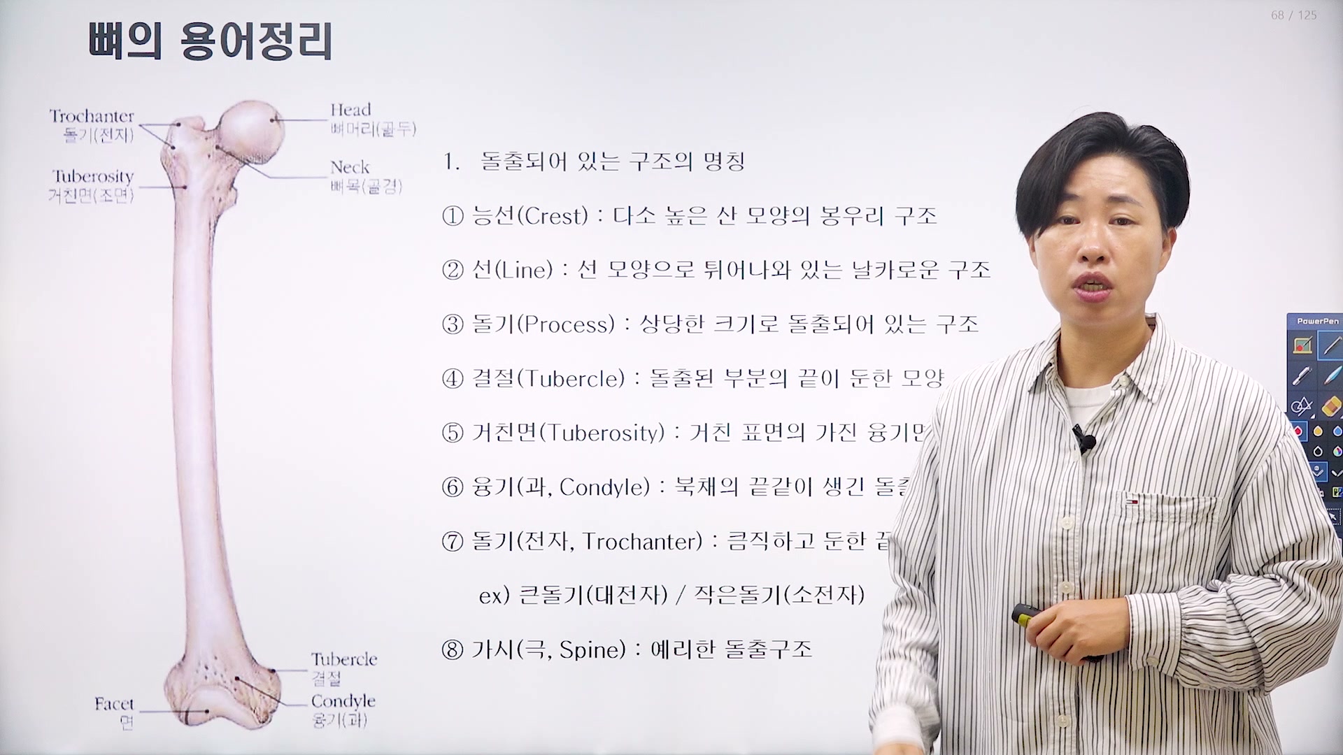 골격계 강의 2