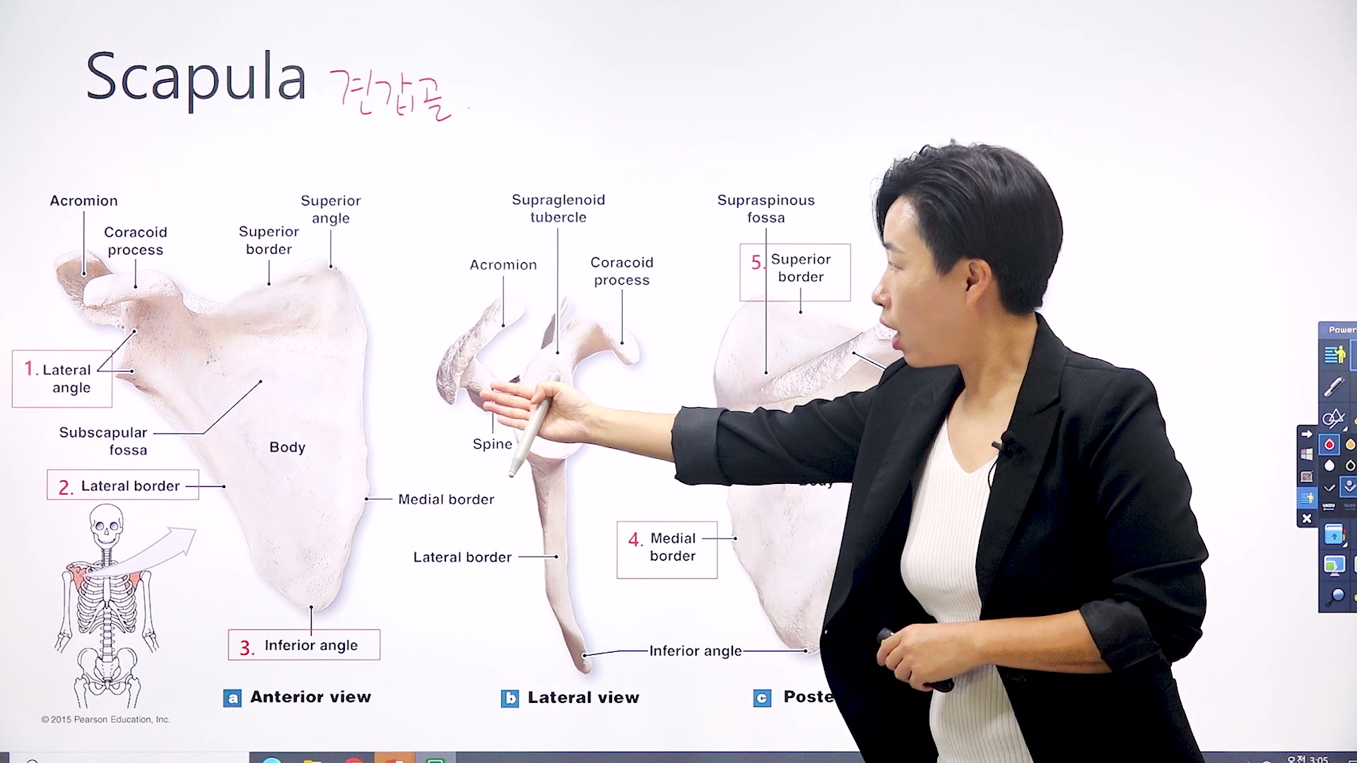 골격계 강의 4